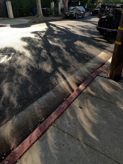 [Photo No. 6]