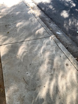 [Photo No. 8]