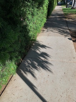 [Photo No. 11]