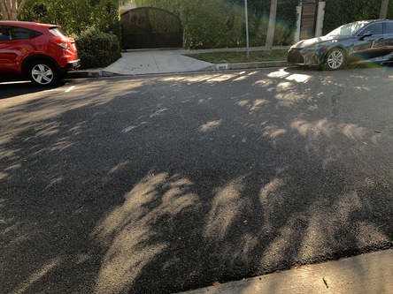 [Photo No. 13]