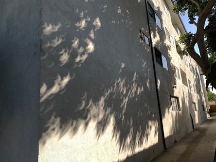 [Photo No. 19]